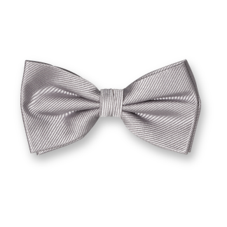 Nœud Papillon Élégant – Style & Distinction