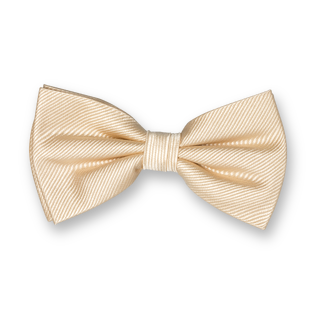 Nœud Papillon Élégant – Style & Distinction