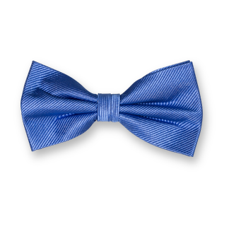 Nœud Papillon Élégant – Style & Distinction