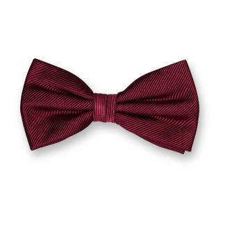 Nœud Papillon Élégant – Style & Distinction