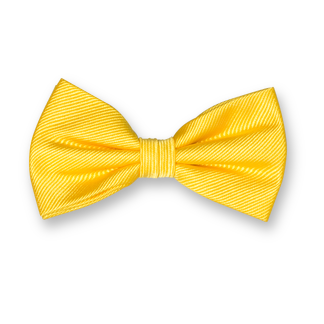 Nœud Papillon Élégant – Style & Distinction