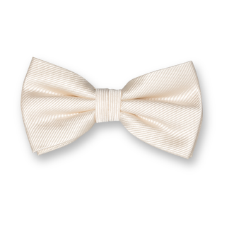 Nœud Papillon Élégant – Style & Distinction