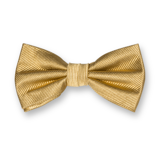 Nœud Papillon Élégant – Style & Distinction