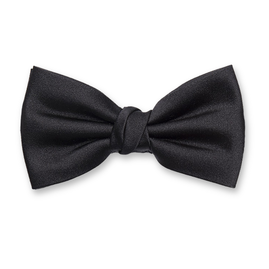 Nœud Papillon Élégant – Style & Distinction