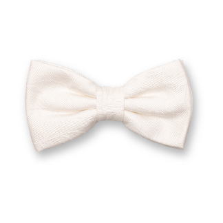 Nœud Papillon Élégant – Style & Distinction